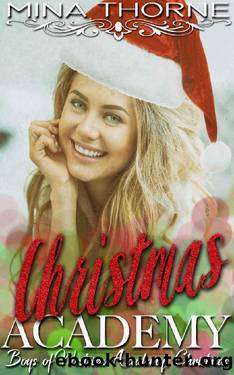 Christmas Academy: The Boys of Westview Academy Christmas by Mina Thorne