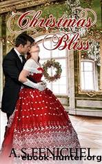 Christmas Bliss by A.S. Fenichel