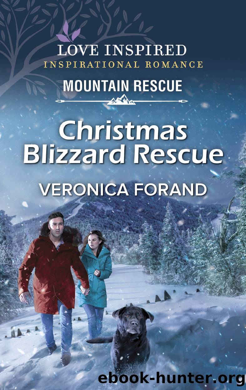 Christmas Blizzard Rescue by Veronica Forand