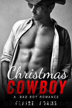 Christmas Cowboy (A Standalone Holiday Romance Novel) by Claire Adams