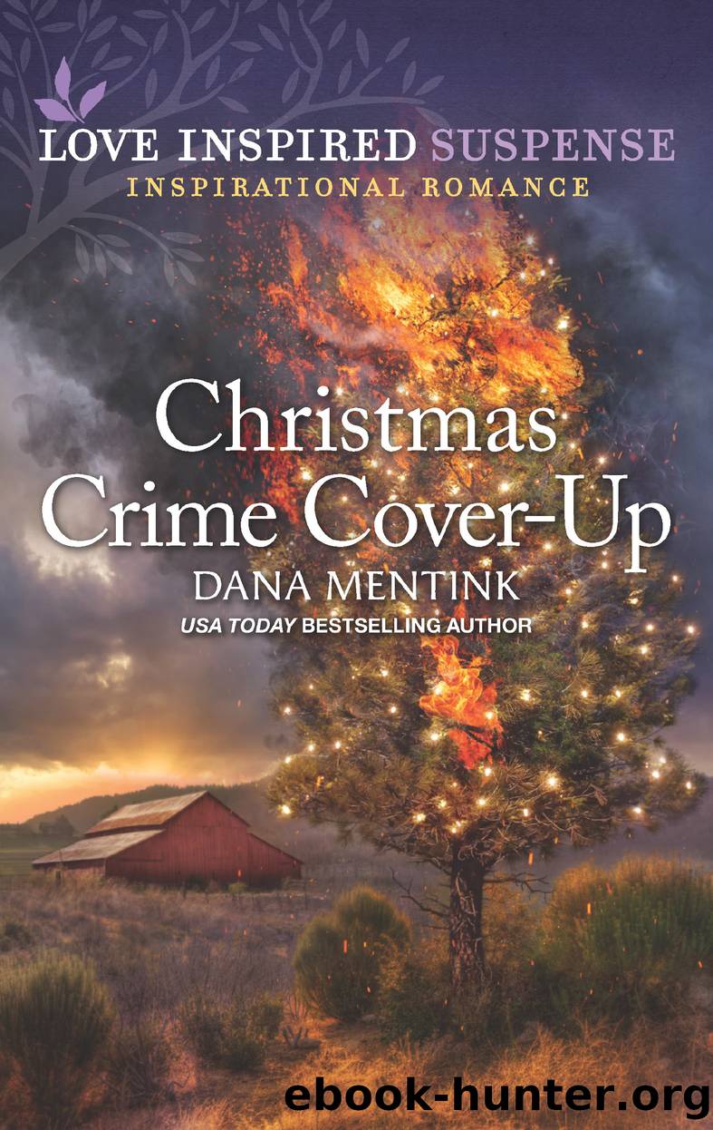 Christmas Crime Cover-Up by Dana Mentink