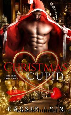 Christmas Cupid: An MM Holiday Romance (Holiday Hearts Book 1) by Cassie Lein