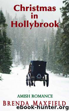 Christmas In Hollybrook (Hollybrook Holiday Amish Romance) by Brenda Maxfield