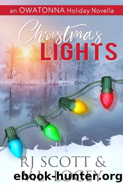 Christmas Lights by RJ Scott & V.L. Locey