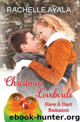 Christmas Lovebirds by Rachelle Ayala