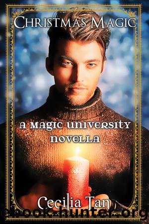 Christmas Magic by Cecilia Tan