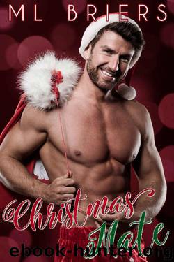 Christmas Mate by M. L Briers