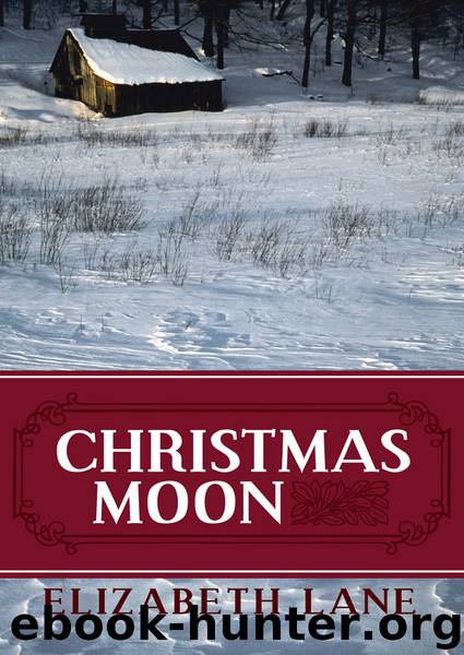 Christmas Moon by Elizabeth Lane