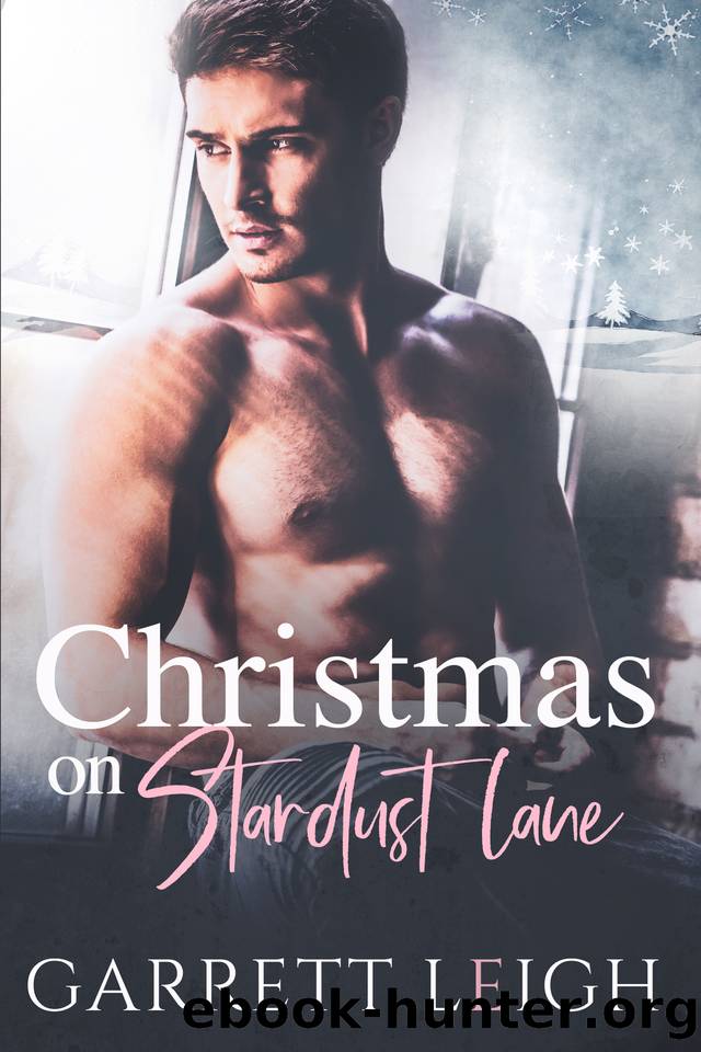 Christmas On Stardust Lane by Leigh Garrett