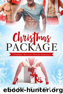 Christmas Package: A Holiday Reverse Harem Romance by Cassie Cole
