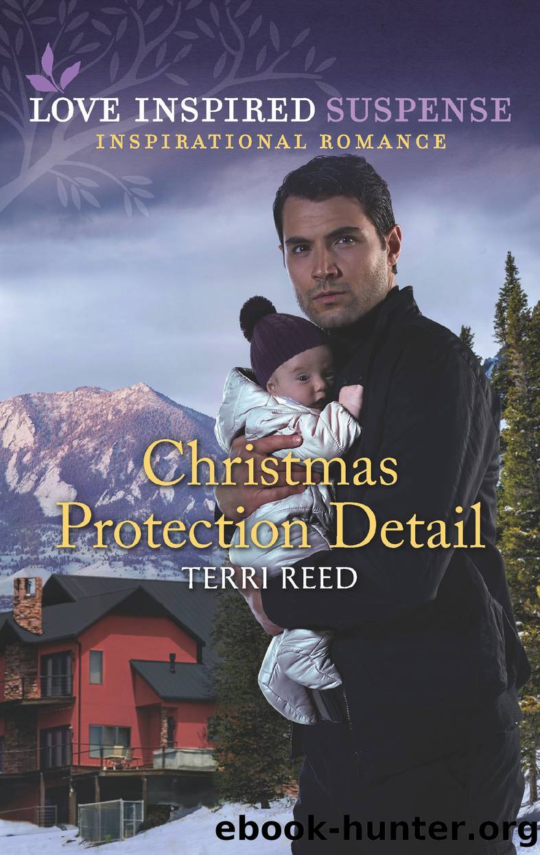 Christmas Protection Detail by Terri Reed