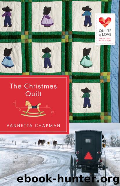 Christmas Quilt : Quilts of Love Series (9781426778032) by Chapman Vannetta