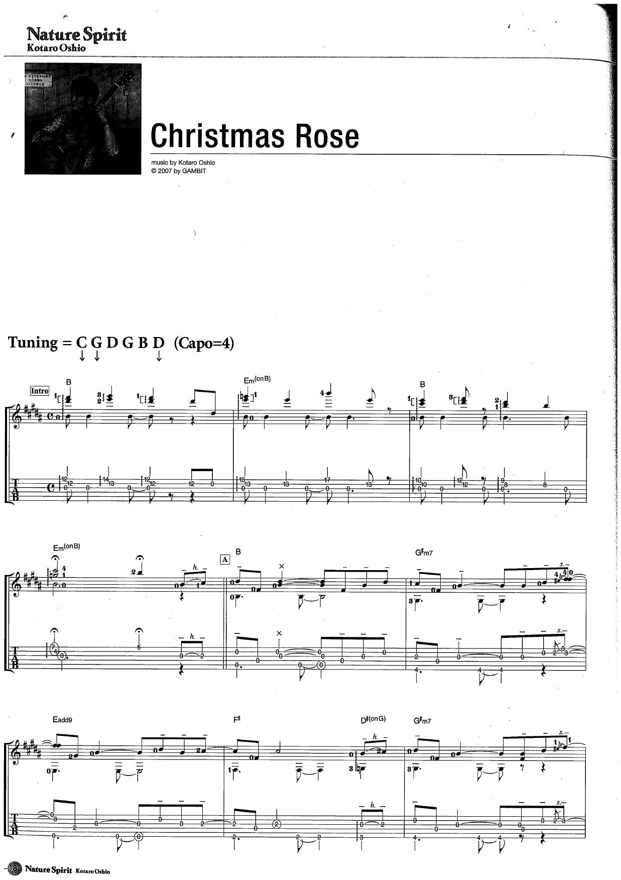 Christmas Rose by Unknown