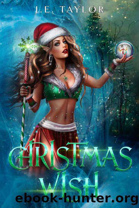 Christmas Wish by J.E. Taylor
