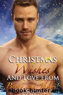 Christmas Wishes and Love With Brody and James by Sara York