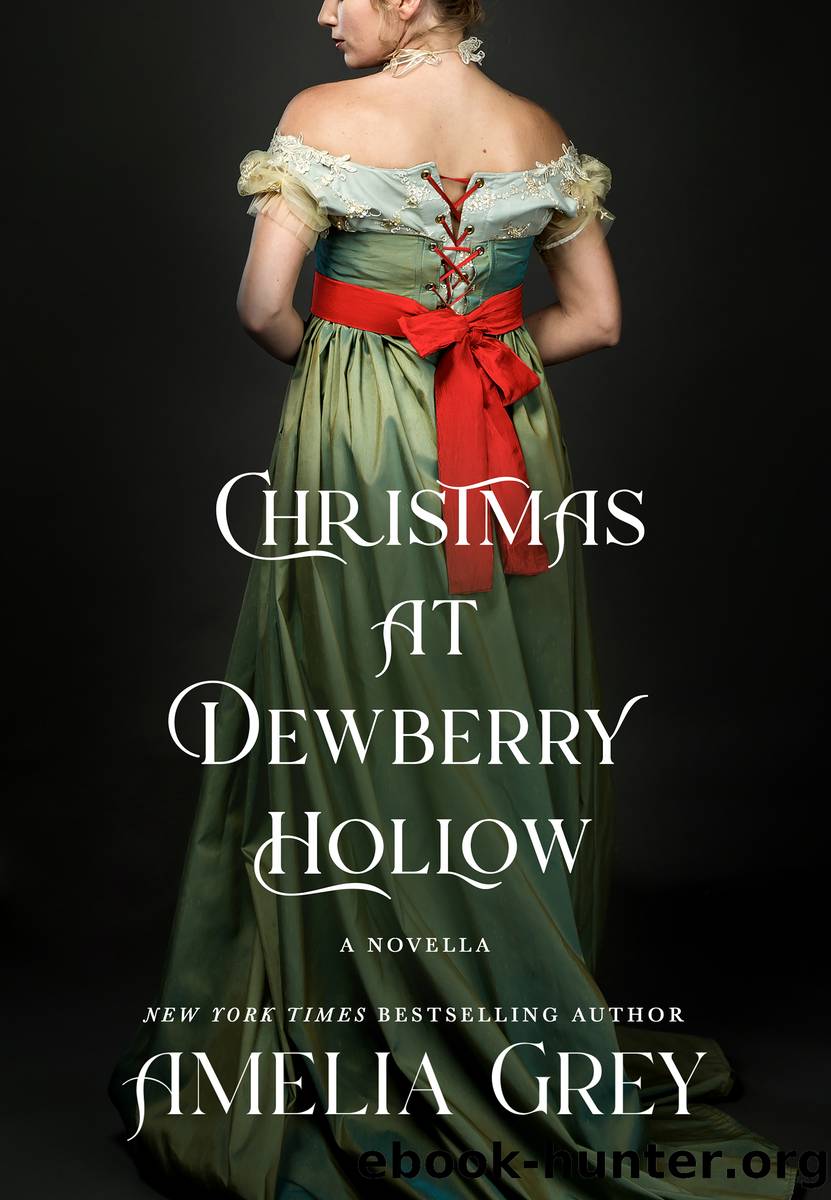 Christmas at Dewberry Hollow by Amelia Grey