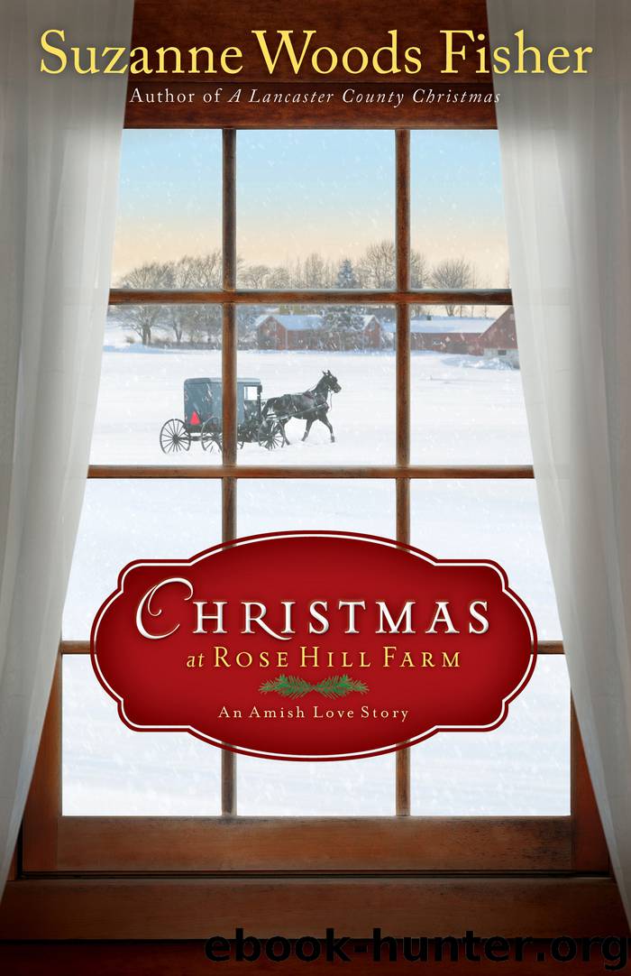 Christmas at Rose Hill Farm by Suzanne Woods Fisher