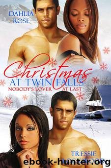 Christmas at Twin Falls by Tressie Lockwood & Dahlia Rose