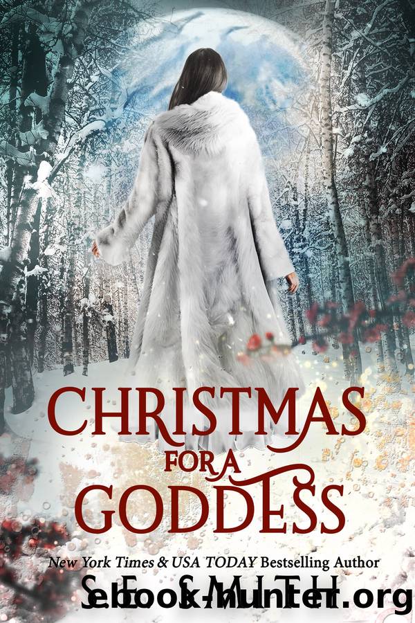 Christmas for a Goddess: Dragon Lords of Valdier Novella by S.E. Smith
