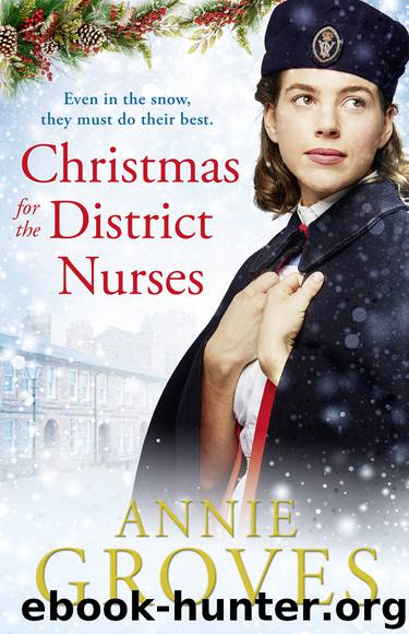 Christmas for the District Nurses by Annie Groves