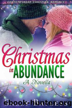 Christmas in Abundance by Sally Bayless