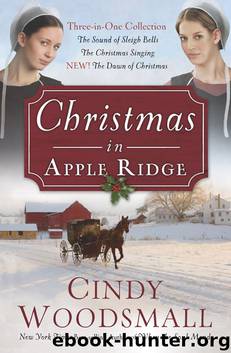 Christmas in Apple Ridge by Cindy Woodsmall