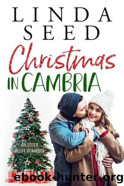 Christmas in Cambria by Linda Seed