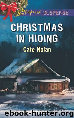 Christmas in Hiding by Cate Nolan