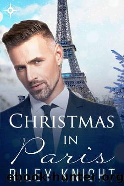 Christmas in Paris by Riley Knight