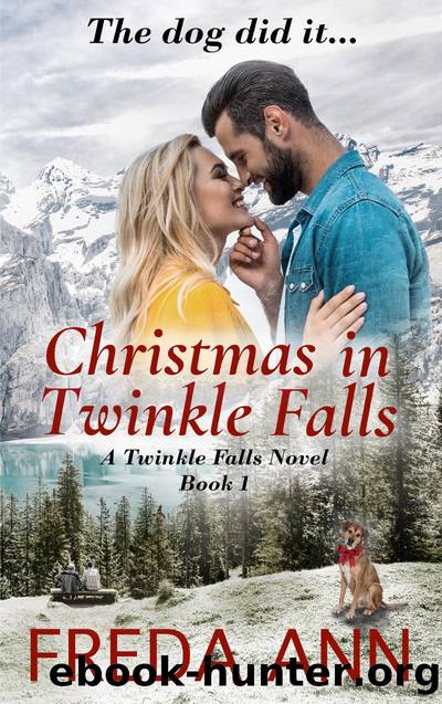 Christmas in Twinkle Falls by Freda Ann