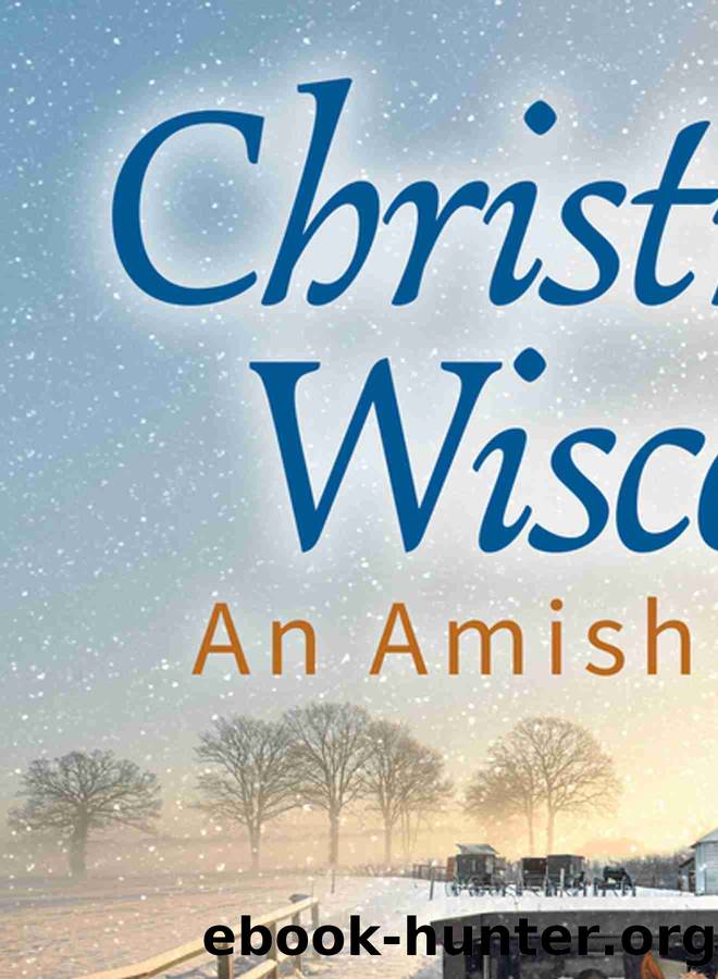 Christmas in Wisconsin by Linda Byler