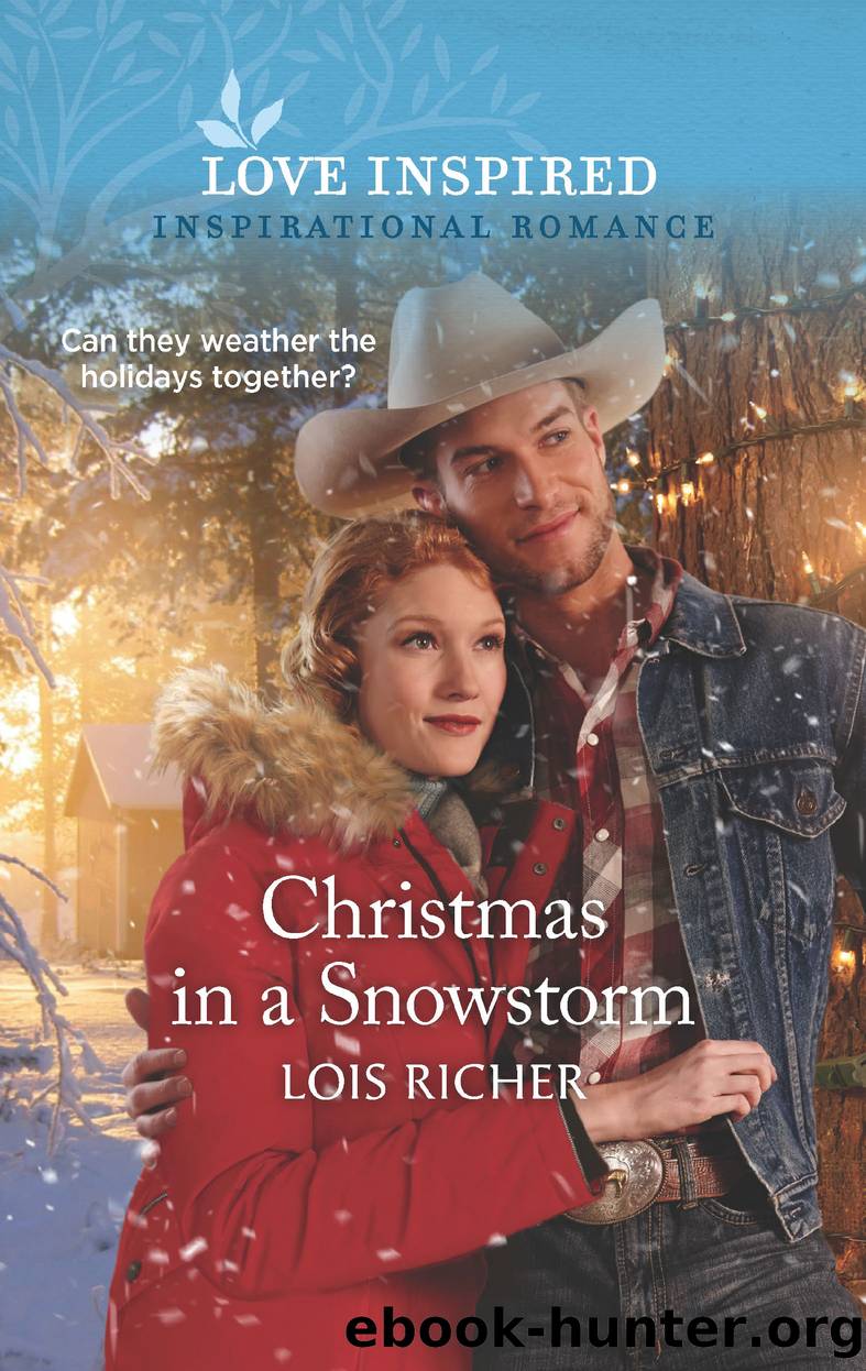 Christmas in a Snowstorm by Lois Richer