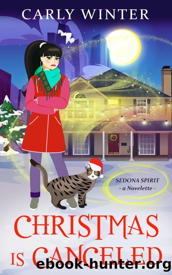 Christmas is Canceled by Carly Winter
