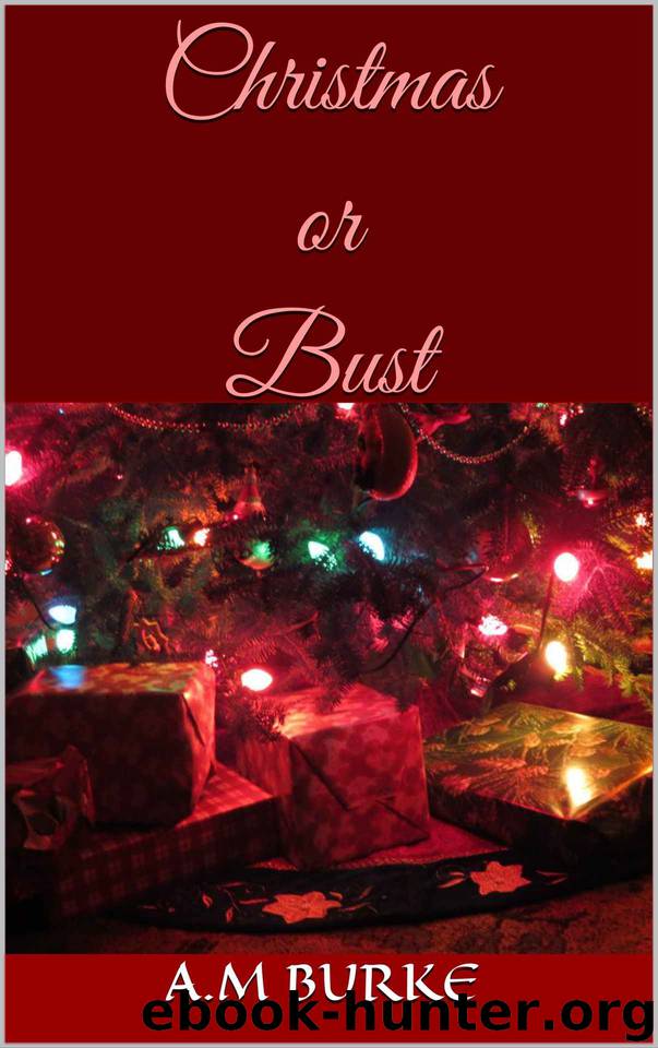 Christmas or Bust by A.M Burke