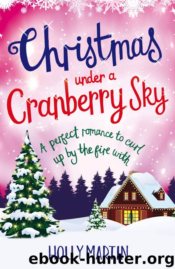 Christmas under a Cranberry Sky by Holly Martin