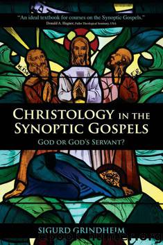 Christology in the Synoptic Gospels: God or God's Servant by Sigurd Grindheim