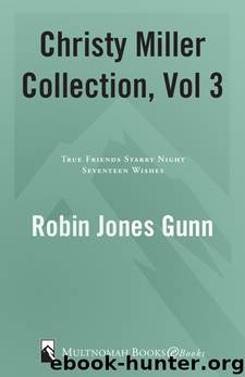 Christy Miller Collection, Vol 3 by Robin Jones Gunn