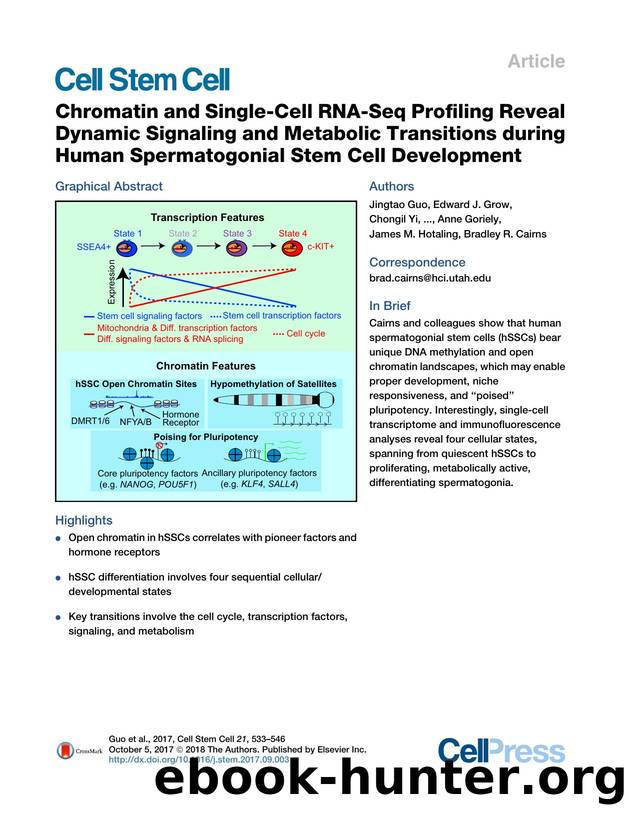 Chromatin and Single-Cell RNA-Seq Profiling Reveal Dynamic Signaling and Metabolic Transitions during Human Spermatogonial Stem Cell Development by unknow