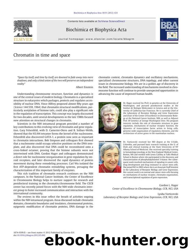 Chromatin in time and space by Gordon L. Hager & Lyuba Varticovski