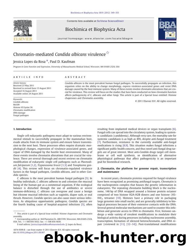 Chromatin-mediated Candida albicans virulence by Jessica Lopes da Rosa & Paul D. Kaufman