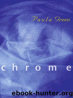 Chrome by Paula Green