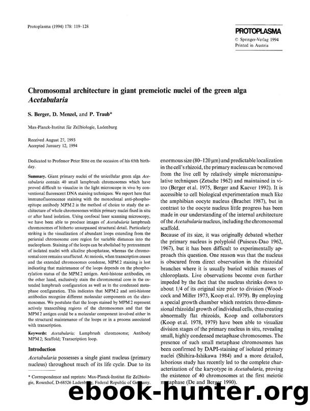 Chromosomal architecture in giant premeiotic nuclei of the green alga <Emphasis Type="Italic">Acetabularia <Emphasis> by Unknown