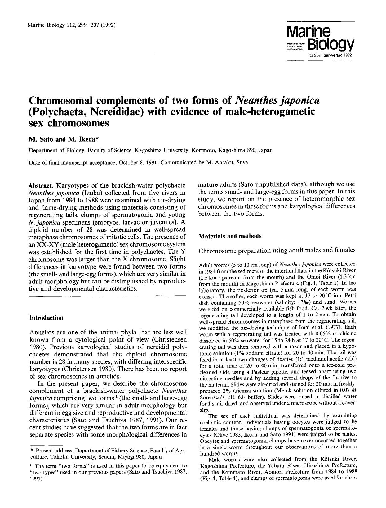 Chromosomal complements of two forms of <Emphasis Type="Italic">Neanthes japonica <Emphasis> (Polychaeta, Nereididae) with evidence of male-heterogametic sex chromosomes by Unknown