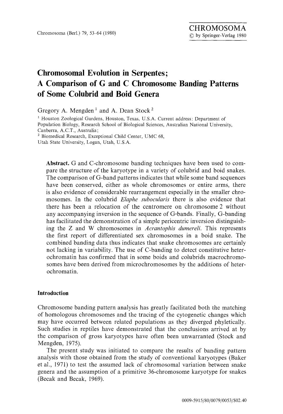 Chromosomal evolution in serpentes; a comparison of G and C chromosome banding patterns of some colubrid and boid genera by Unknown