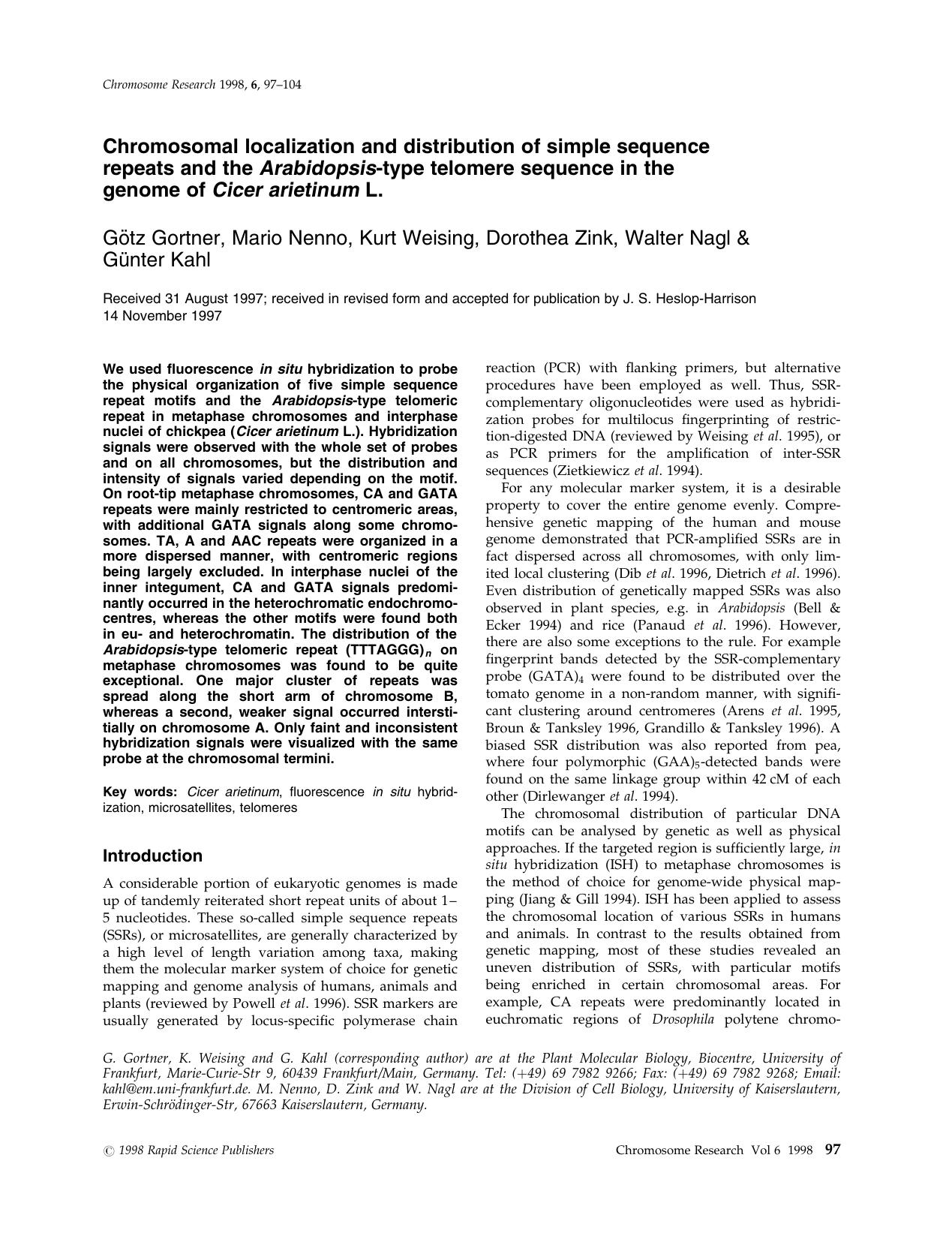 Chromosomal localization and distribution of simple sequence repeats and the Arabidopsis-type telomere sequence in the genome of Cicer arietinum L. by Unknown