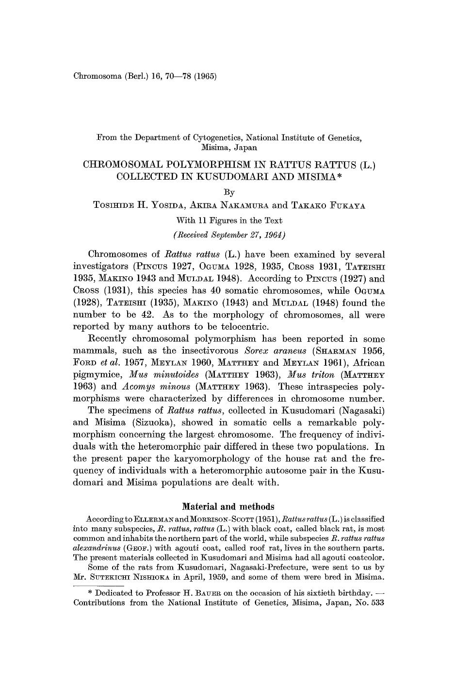 Chromosomal polymorphism in Rattus rattus (L.) collected in Kusudomari and Misima by Unknown