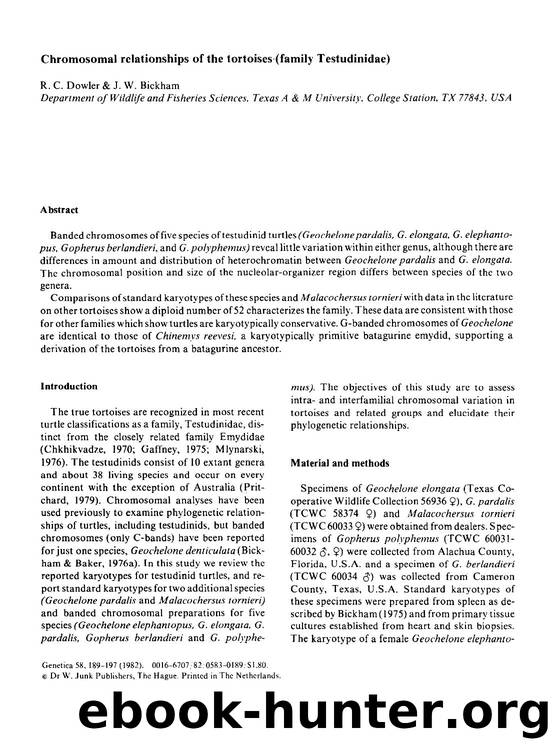 Chromosomal relationships of the tortoises (family Testudinidae) by Unknown