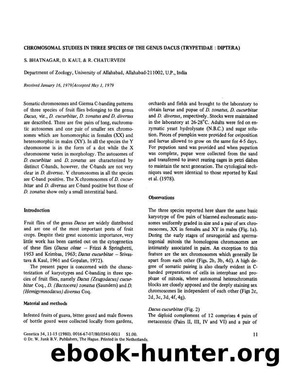 Chromosomal studies in three species of the genus dacus (Trypetidae: Diptera) by Unknown