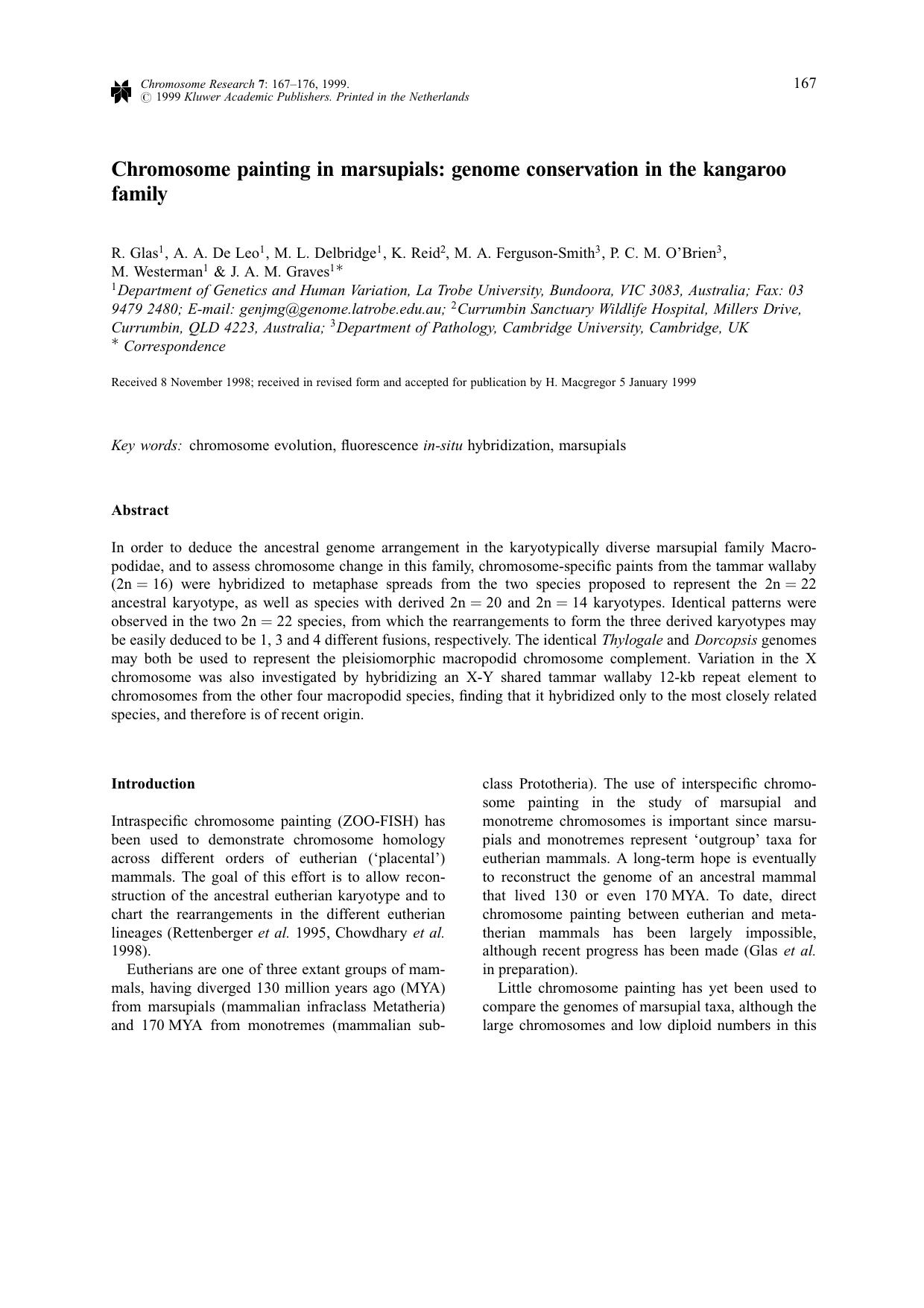 Chromosome Painting in Marsupials: Genome Conservation in the Kangaroo Family by Unknown