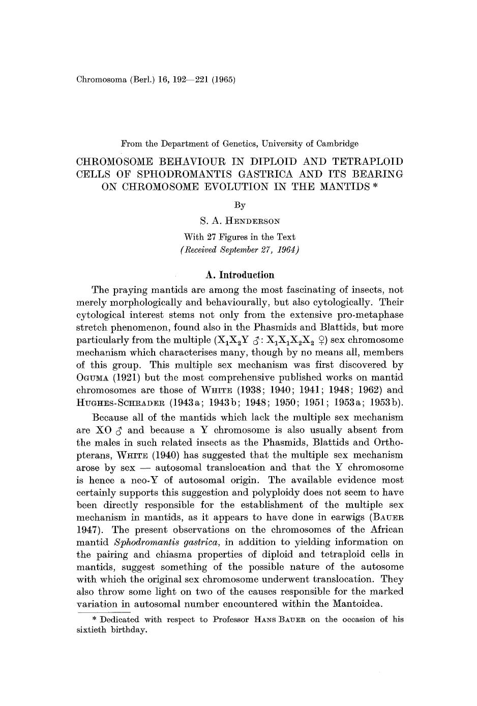 Chromosome behaviour in diploid and tetraploid cells of sphodromantis gastrica and its bearing on chromosome evolution in the mantids by Unknown